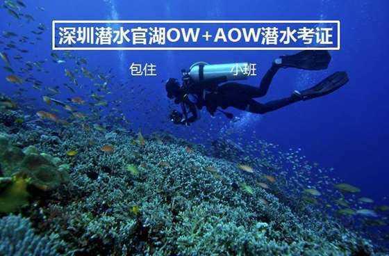 逃出郊外露营地
